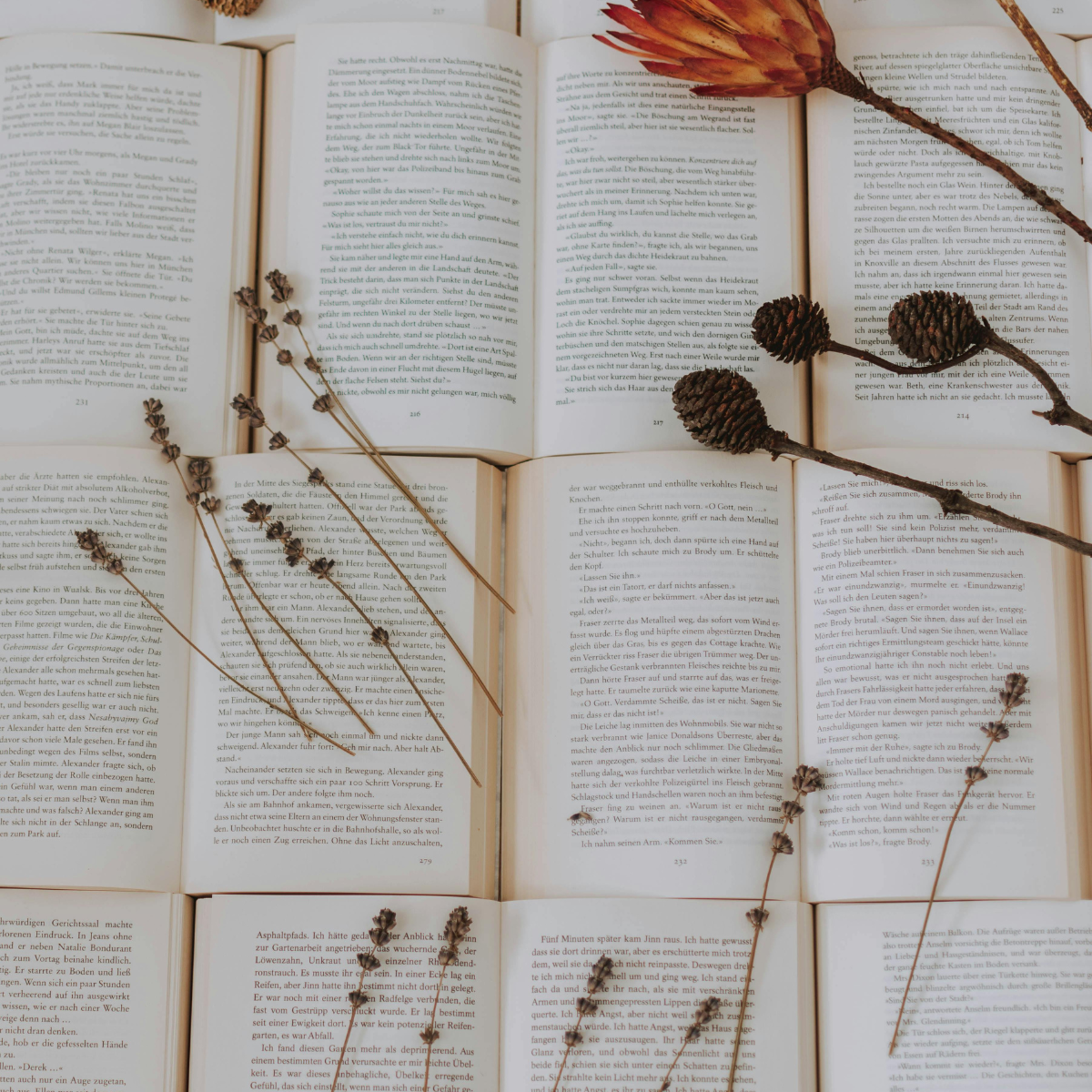 Libros y Accesorios 📚🧘‍♀️🌿